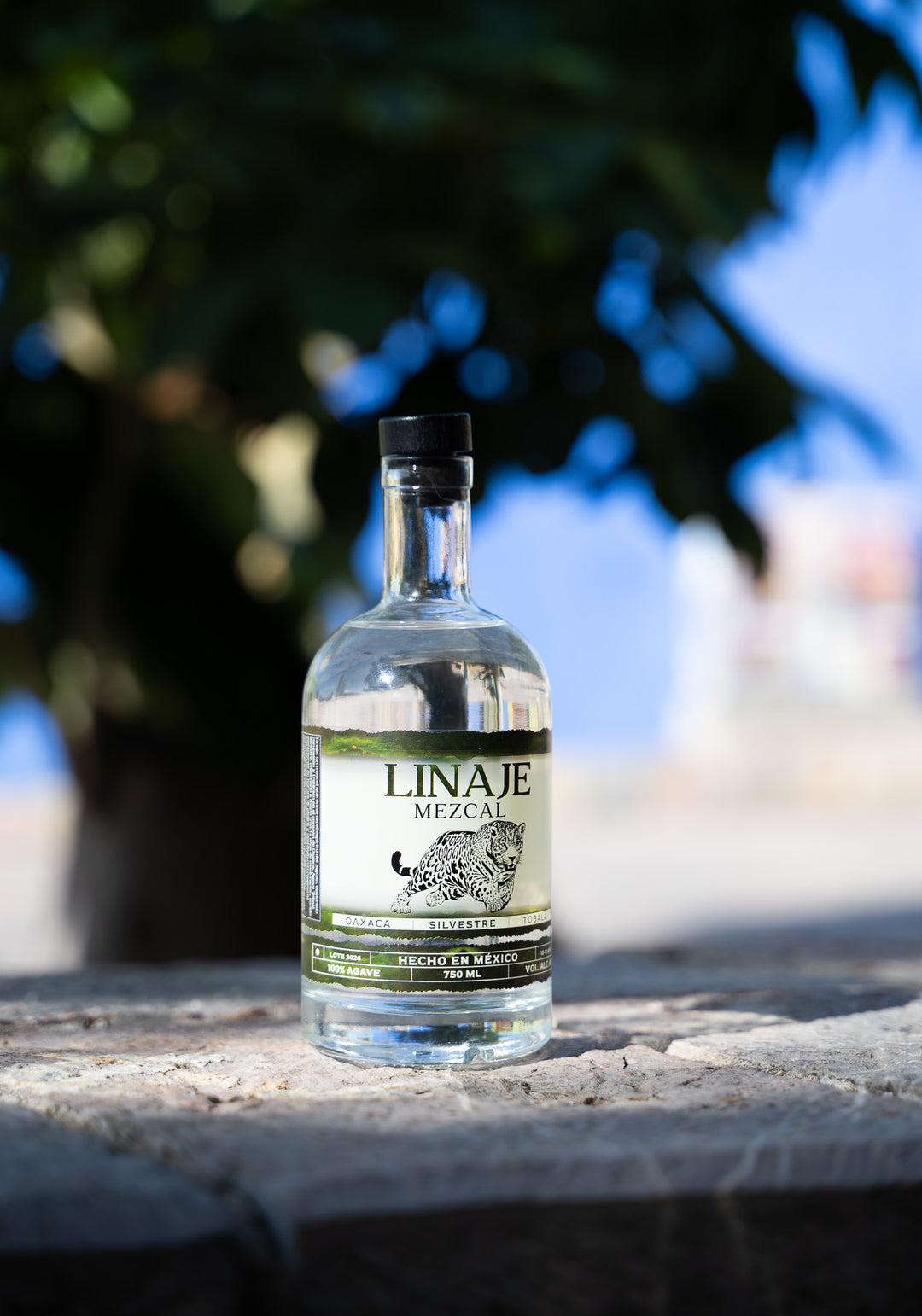 LINAJE Tobalá