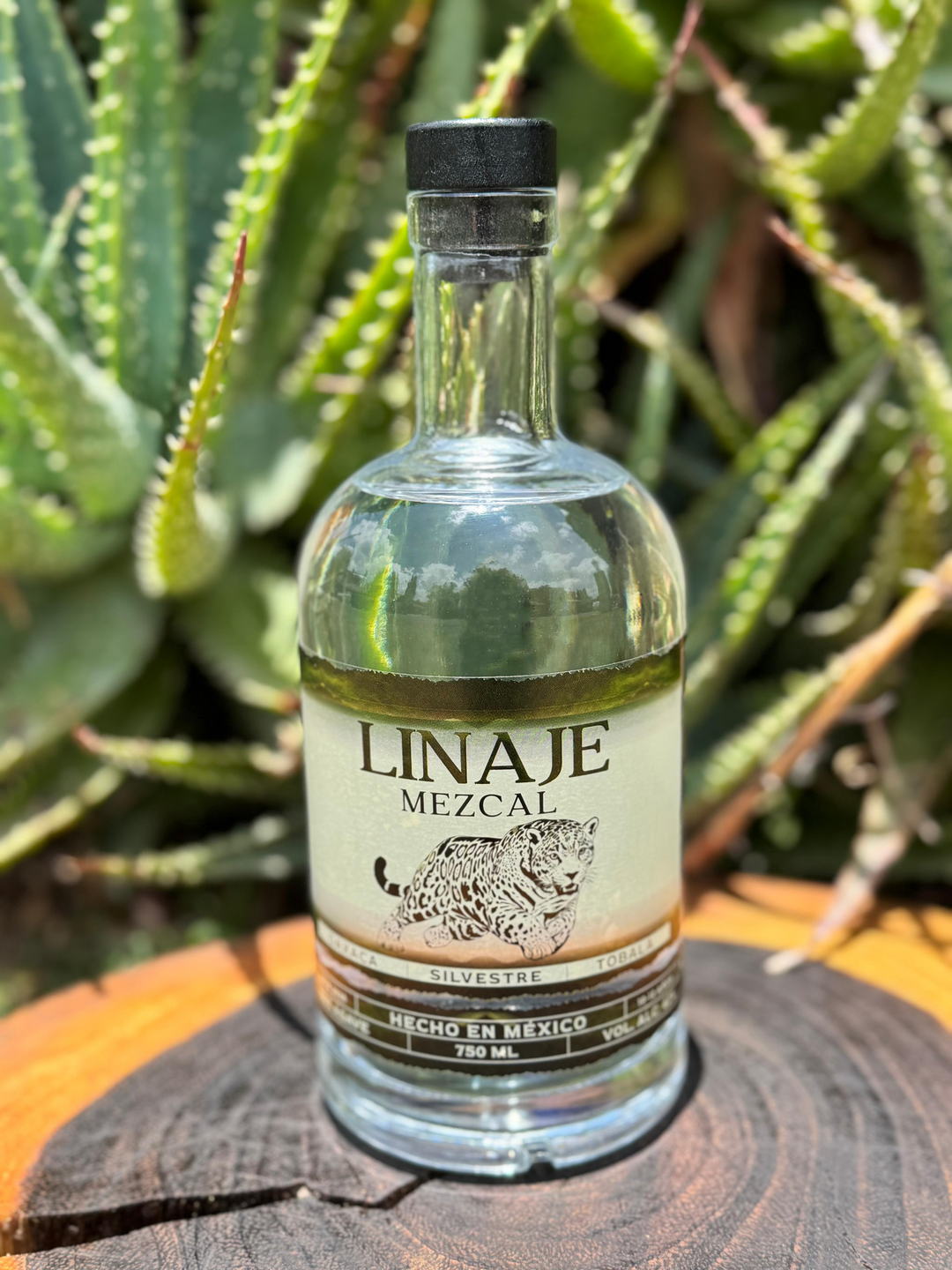 LINAJE Tobalá